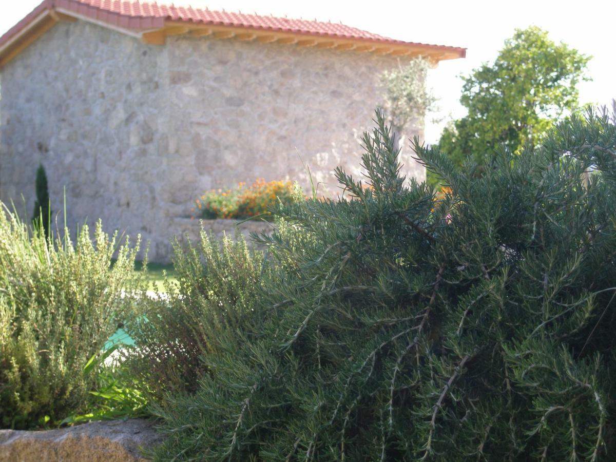 Eido Da Portela - Casa De Campo Carregadouro Exteriör bild